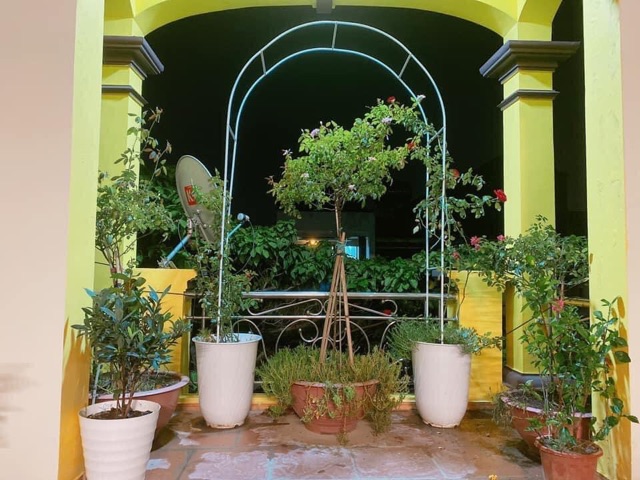 Khung vòm dành cho hồng leo