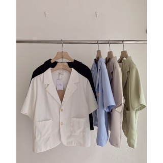 KAYY. Áo kiểu blazer chất đẹp - Blnb ( ảnh thật )