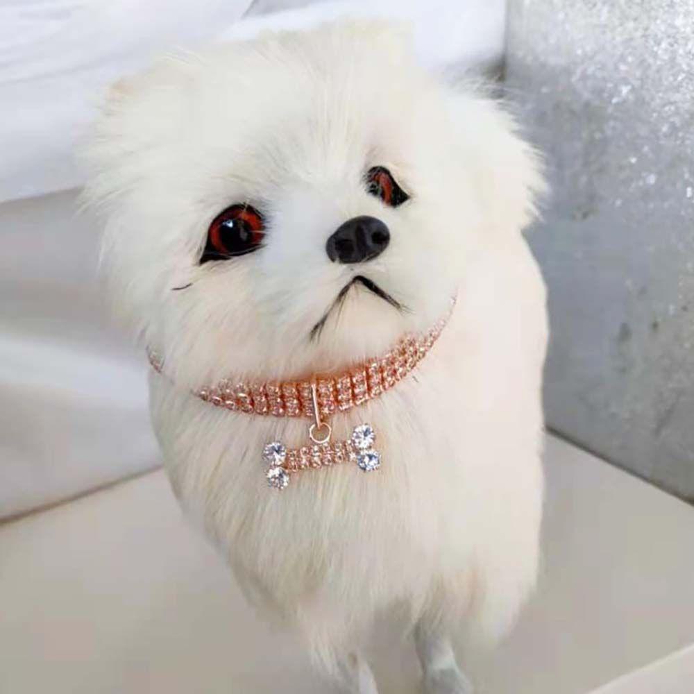 Vòng Cổ Thoát Nước Thời Trang Cho Thú Cưng