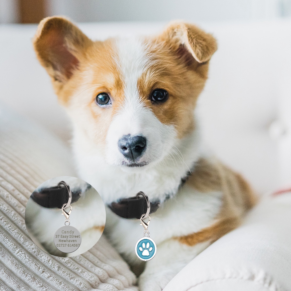 [Khắc miễn phí] Cá nhân hóa Pet Cat Dog ID Tag chống mất Mặt dây chuyền Khắc tên điện thoại Phụ kiện cổ áo