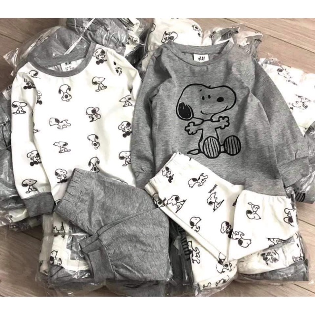 Set bộ dtz