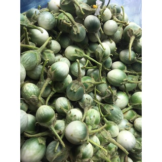 Cà Đắng Tây Nguyên  ( 1kg)