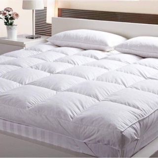 Tấm làm mềm đệm Topper vải bọc cotton trắng, lõi bông tấm nguyên cây, sẵn hàng đủ size
