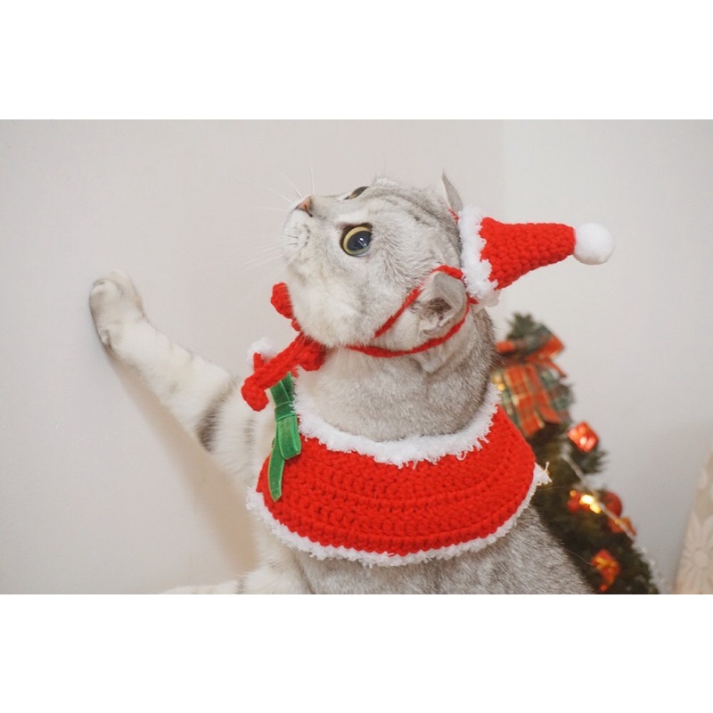 Set Yếm + mũ len Noel cho chó mèo