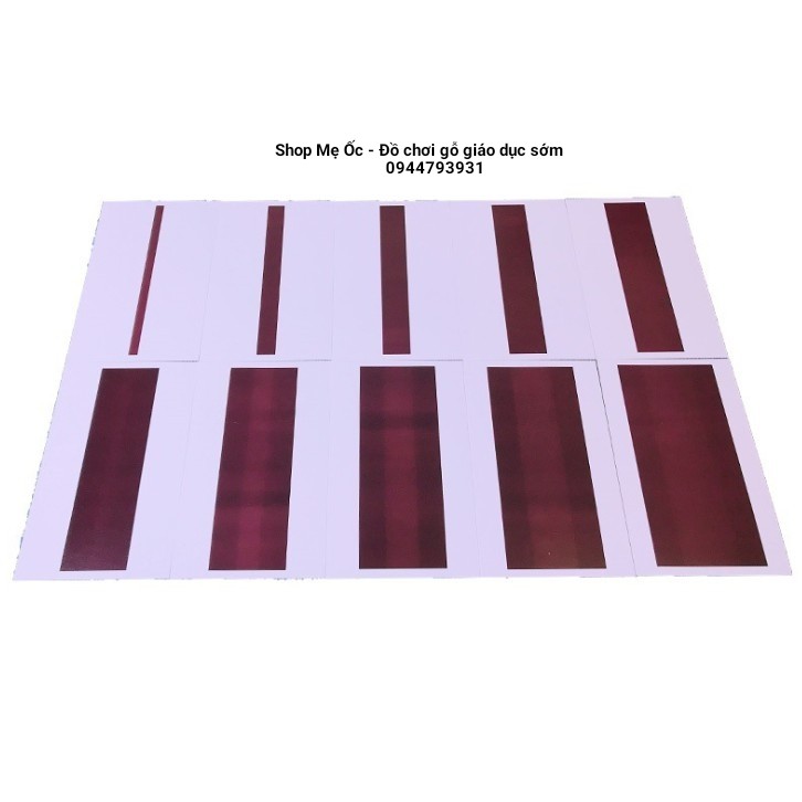 Bộ 10 thẻ thang nâu (Kết hợp với bộ thang nâu size lớn)