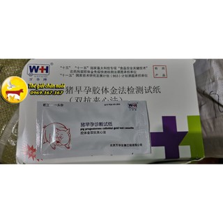 - Que thử thai chính hãng WH