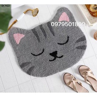 Thảm Chùi Chân Siêu Thấm Giá Rẻ Nhất