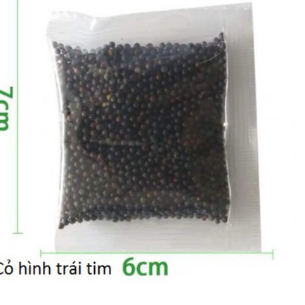 Hạt giống thủy sinh gói 10g- Cỏ Ngưu mao chiên- Trân châu ngọc trai