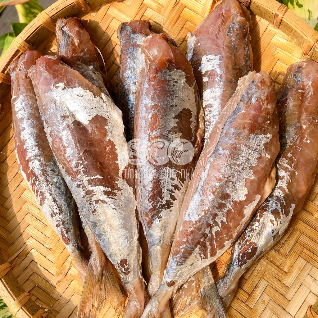 Cá Nục 1 Nắng Hạ Long khối lượng 0.5 kg - 1kg | Tinh Hoa Quê Nhà | BigBuy360 - bigbuy360.vn