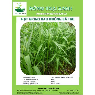 Hạt Giống Rau Muống Lá Tre - MUA 3 TẶNG 1 CÙNG LOẠI
