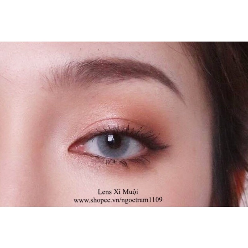 Lens xám tây French/velvet đủ độ(0-6 độ)