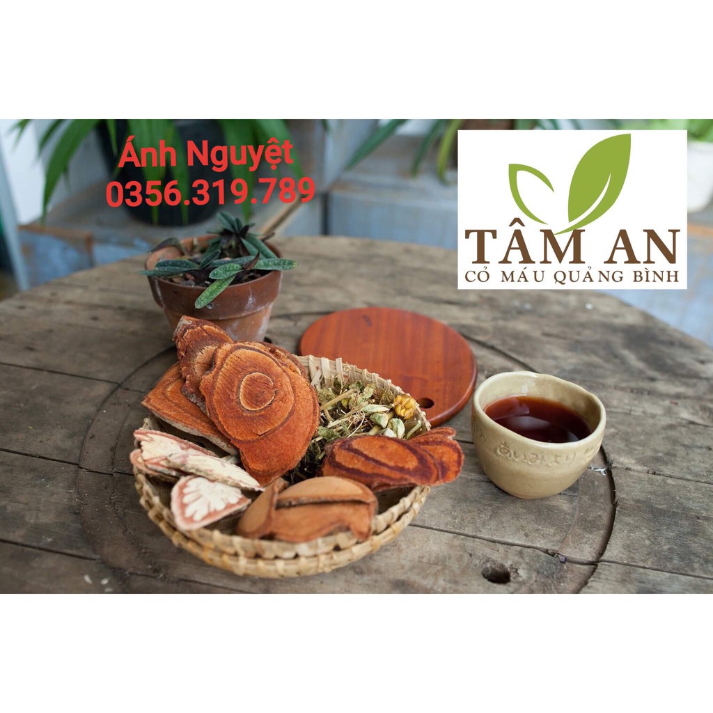 Cỏ Máu Tâm An liệu trình tăng cân