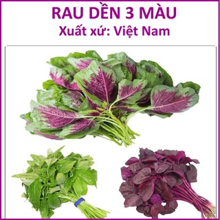 Hạt giống Rau Dền 3 màu