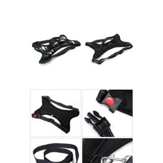 Dây Dắt Chó Husky Chuyên Dụng