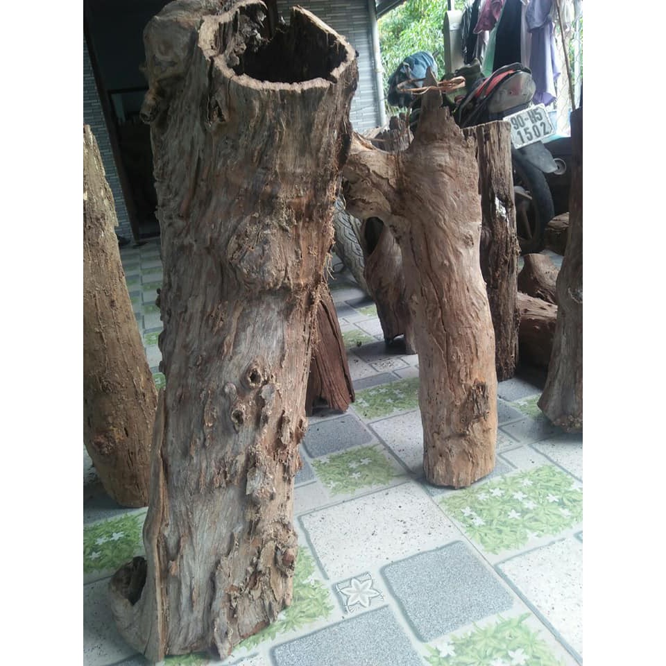 LŨA SAN  ĐÁ ỐNG RỖNG - TRANG TRÍ HỒ CÁ TÉP THỦY SINH