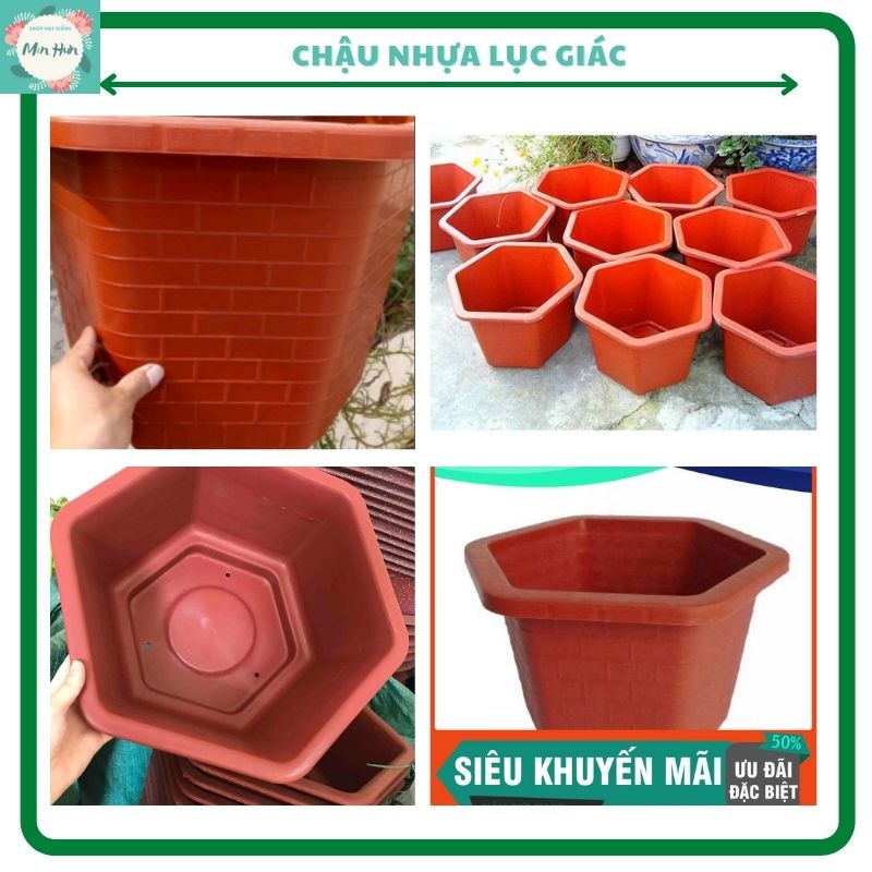 Chậu nhựa lục giác trồng cây, hoa (30cmx20cm và 32x20cm)