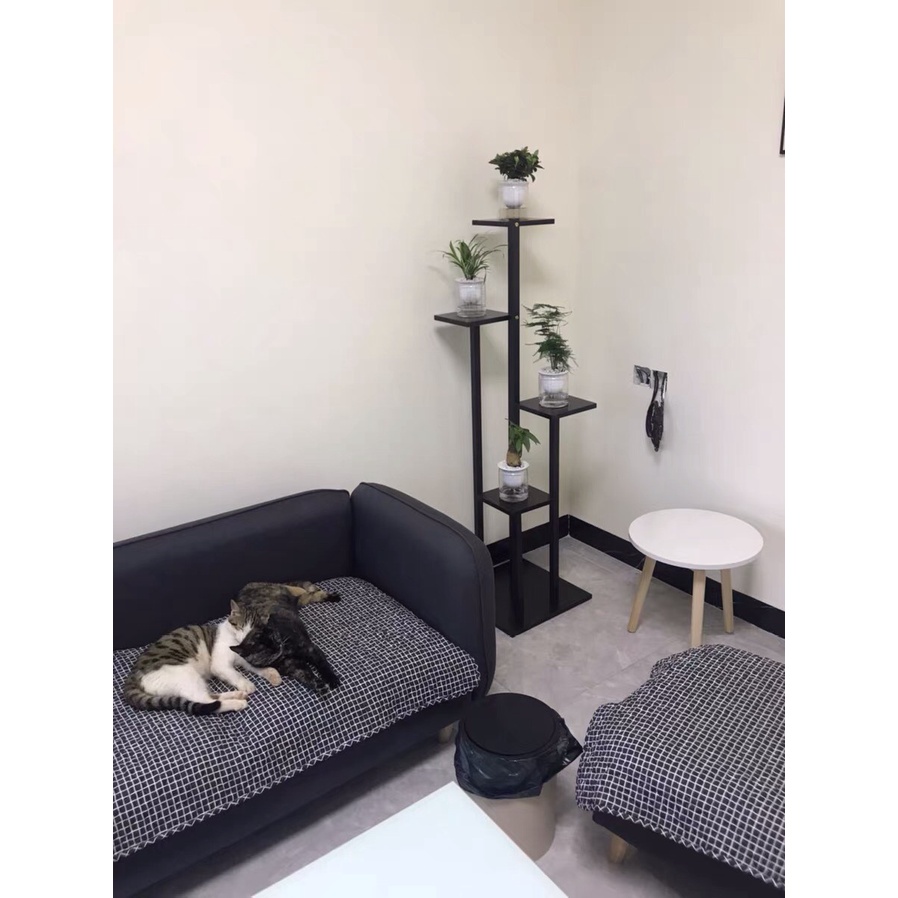 Kệ để chậu cây Nội Thất Thành Luân làm bằng khung sắt sơn tĩnh điện và mặt gỗ cao cấp đủ kích thước 88cm 1m2 và 1m4