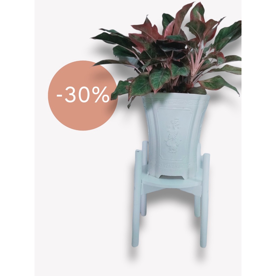 Kệ Giá Gỗ Để Chậu Hoa/Đôn Gỗ Để Chậu Hoa Cây Cảnh Màu Trắng Loại To Kích Thước Cao 35cm x Rộng 36cm, lọt lòng  30,5cm
