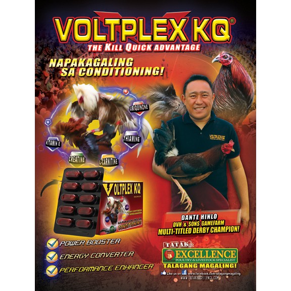 Voltplex KQ ốp 3 ngày cuối dành cho gà đá, loại 1 vỉ.