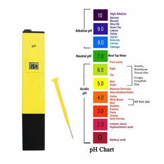 máy đo pH nước giá rẻ