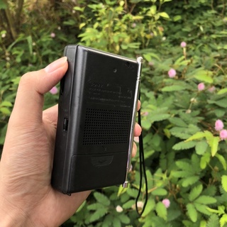 Đài Radio Sony