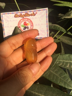 NGỌC THIỀN (Ve Sầu)