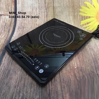 bếp từ đơn - bếp điện từ đơn