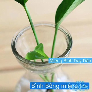 Bình Bông Lọ Hoa Thủy Tinh Eo Nhỏ