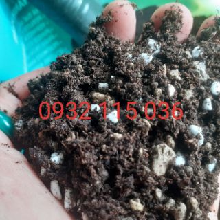Đất trồng sen đá 500gr