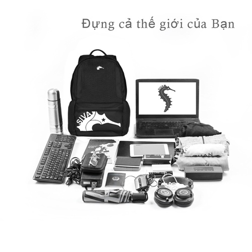Balo laptop siva cá ngựa BSCN1509