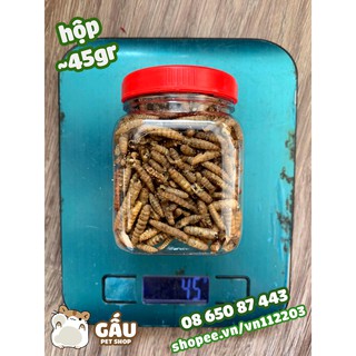 Canxi cho hamster