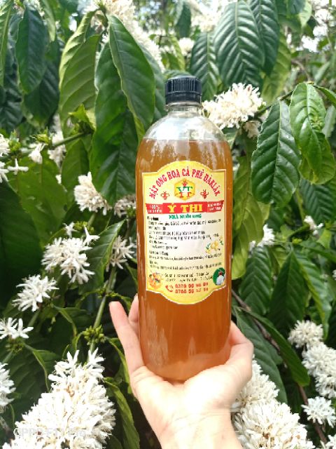Combo 5 Vỏ Chai nhựa pet 1000ml