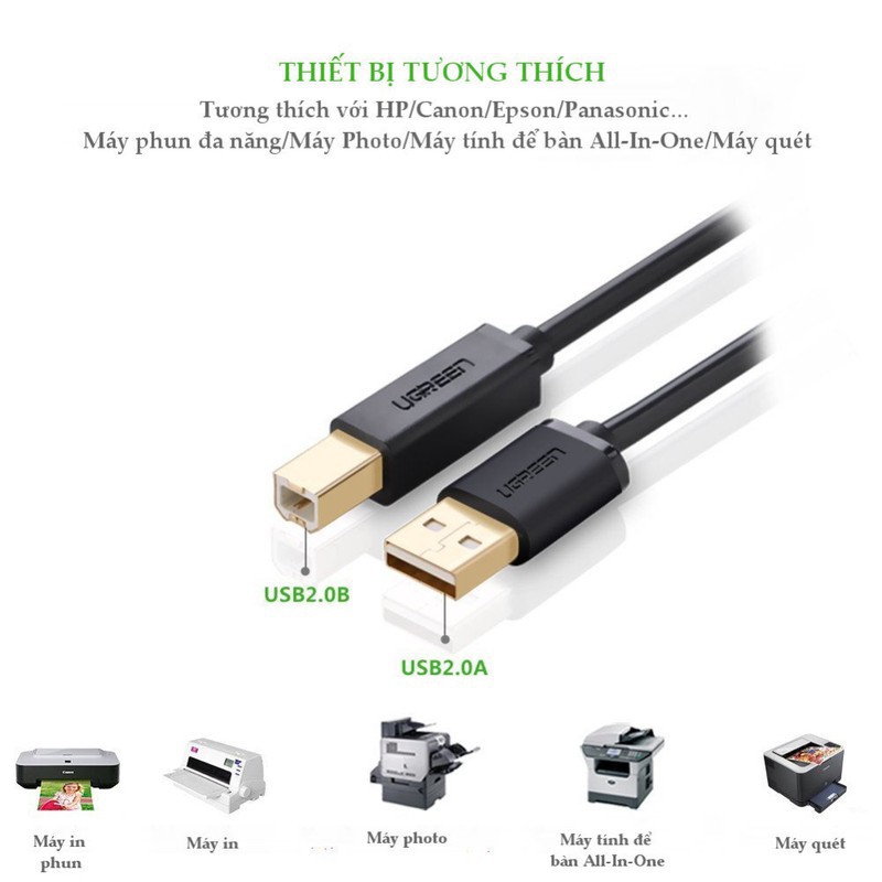 Cáp máy in USB 1,5m Ugreen UG-10350 đầu cáp mạ vàng_Hàng chính hãng