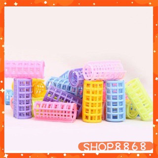 Combo 6 lô cuốn tóc gai - shop8868