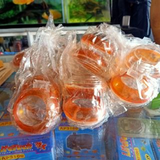 Combo hủ đựng thức ăn cho chim