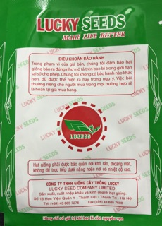 Hạt giống Dưa bở Cao sản 5gr 🍀