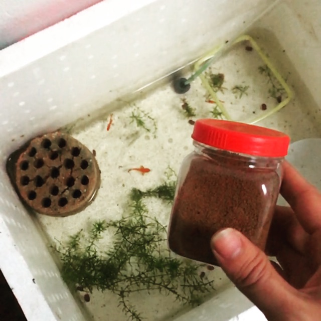 Cám Inve 3/5 Thái Lan