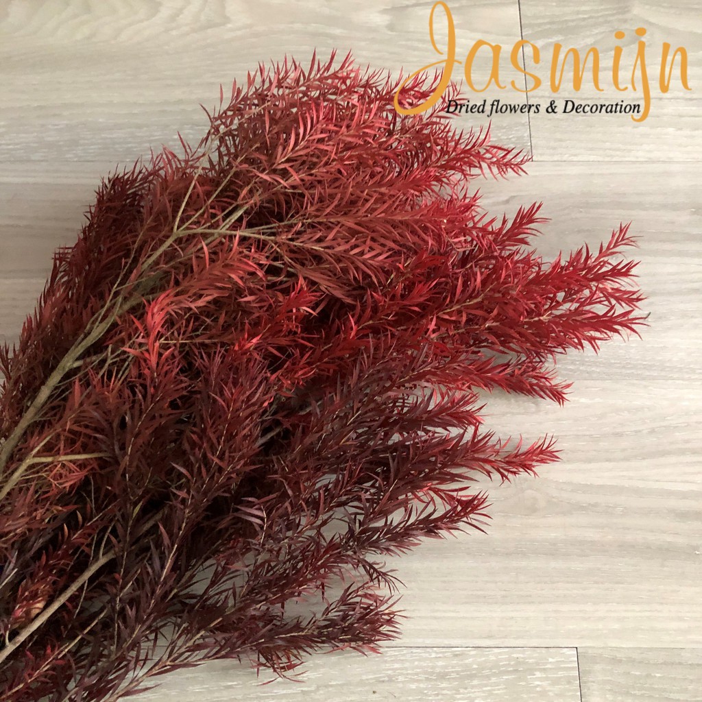 Lá hoàng kim khô nhiều màu