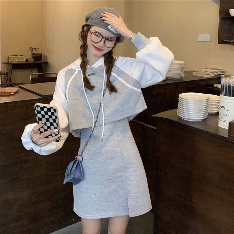 Set Đồ Thể Thao Gồm Áo Hoodie + Chân Váy Ngắn Màu Xám Đơn Giản Phong Cách Hàn Quốc Cho Nữ
