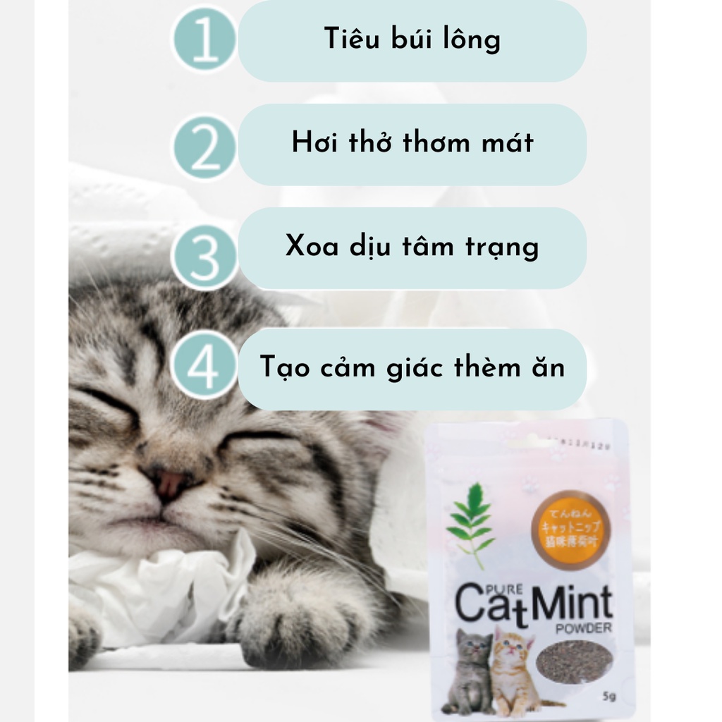 Cỏ Mèo Cỏ Bạc Hà Catnip, Sạch Răng Thơm Miệng, Dạng Túi Nghiền Nhỏ