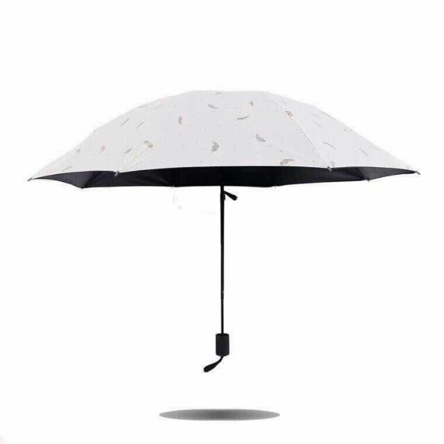 Ô DÙ CHỐNG TIA UV