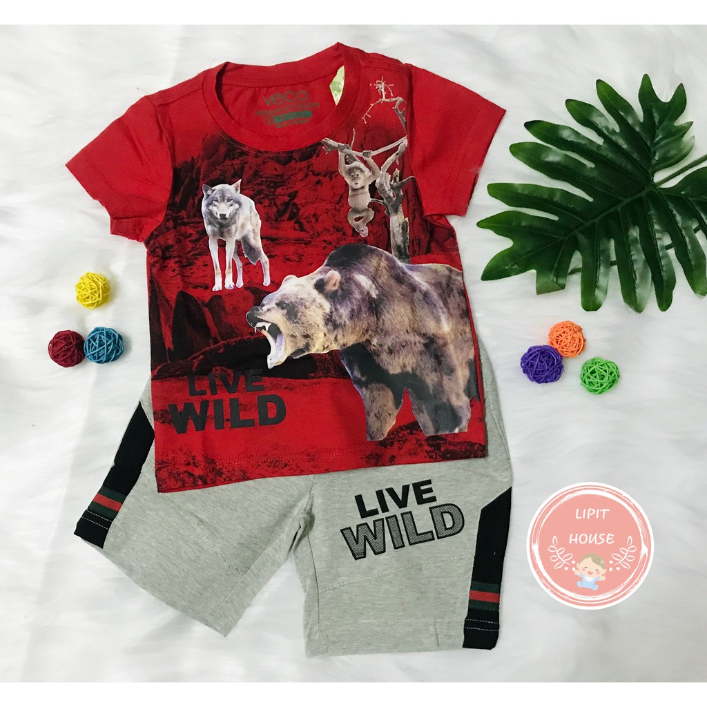 Bộ thun bé trái Live Wild