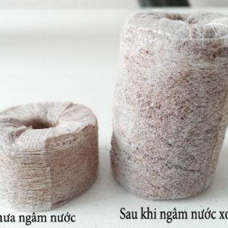 100 Viên nén ươm hạt xơ dừa