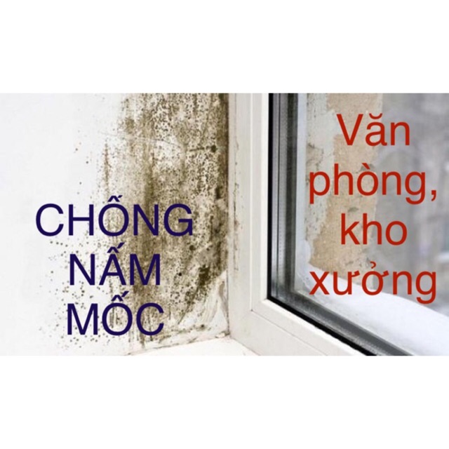 Chống nấm mốc nhà kho, xưởng, văn phòng ...( lau sàn, tường ) SP An toàn- (1 lít) TL 1:5