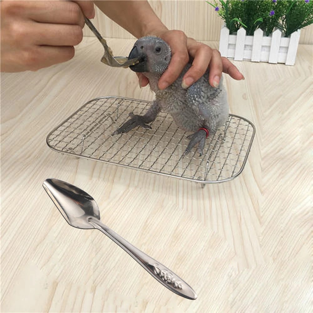 Bộ 3 Muỗng Ăn / Uống Nước Bằng Thép Không Gỉ Tiện Dụng Cho Chim / Vẹt