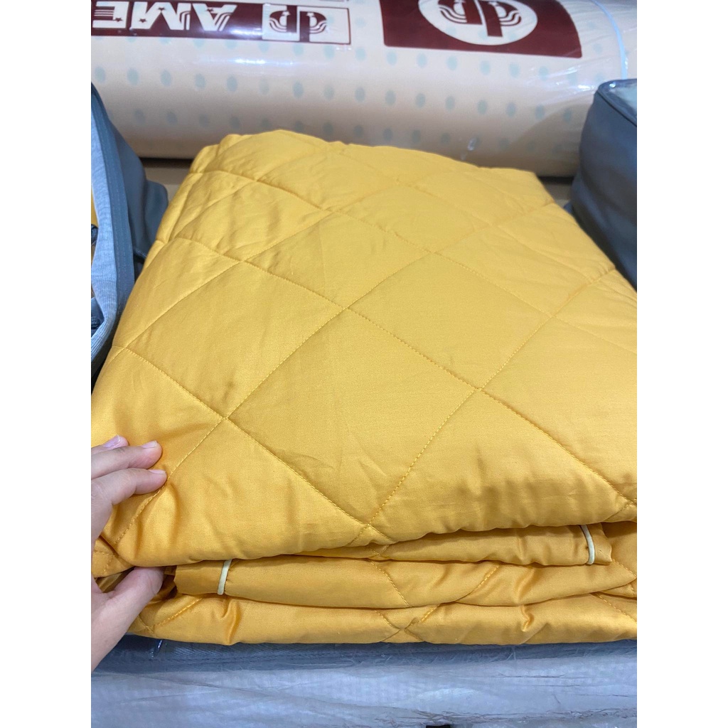 Bộ Drap chun chần EVERON MDSC048