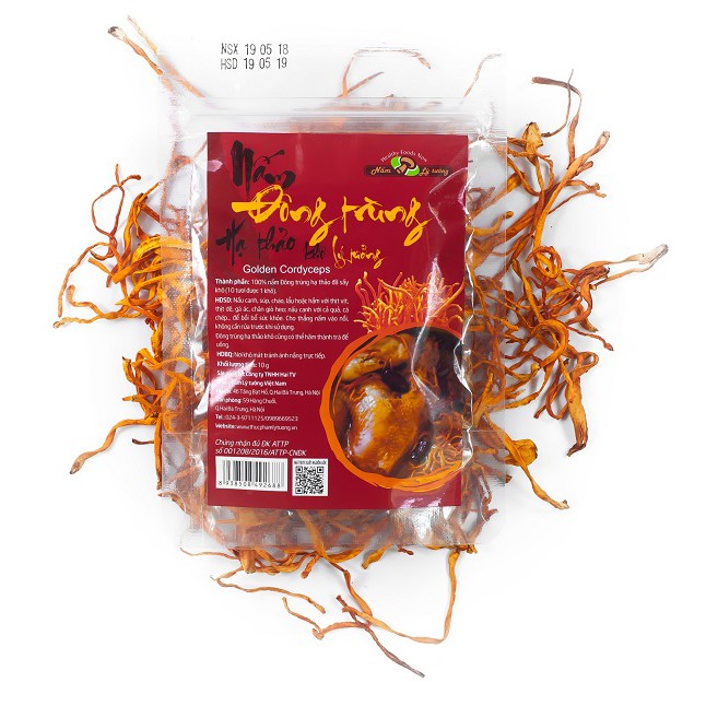 Đông trùng hạ thảo khô Nấm Lý tưởng 10g