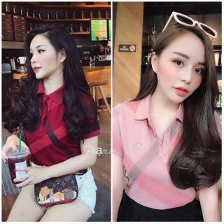 Áo phông cổ đức sọc kẻ hai màu đỏ và hồng,