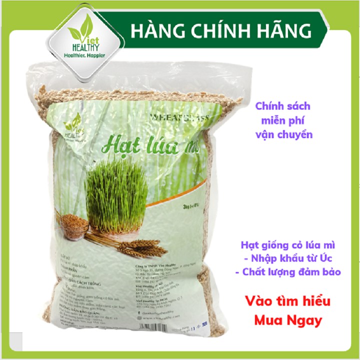 Hạt giống cỏ lúa mì Viet Healthy 3kg