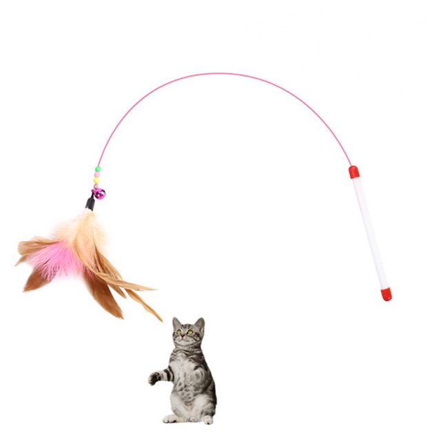Cần câu dây thép lông vũ - Đồ chơi cho chó mèo thú cưng | Bé Ba Petshop